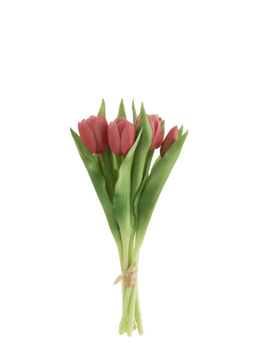 RAMO DE TULIPÁN / ROSA OSCURO