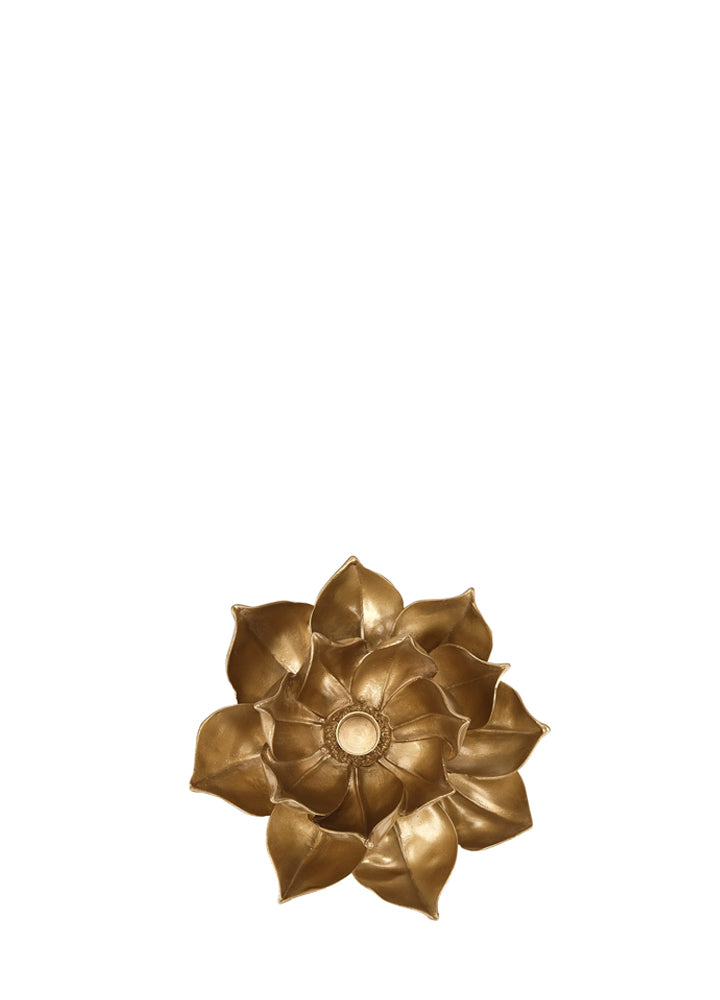 LOTUS MUMLUK / M
