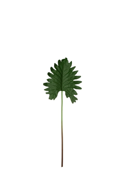 LEAF YAPRAK