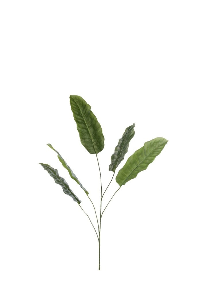 MUZ DAL / 124 CM