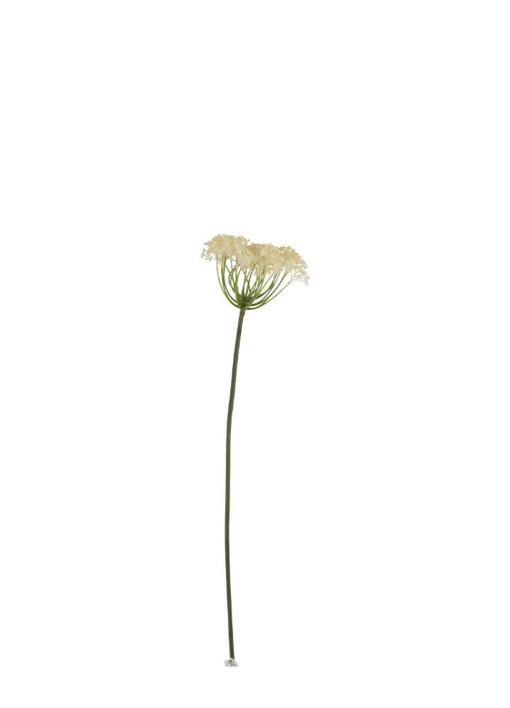 SEDUM BEJ DAL / 81 CM