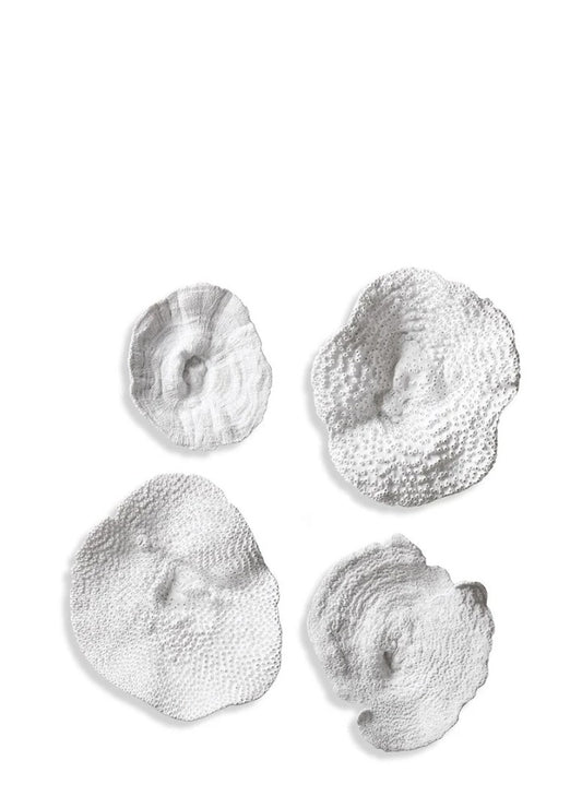 SEA CORAL WALL ART S/4