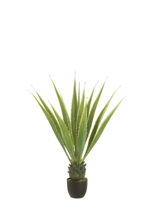 LISA DEV AGAVE / 115 cm