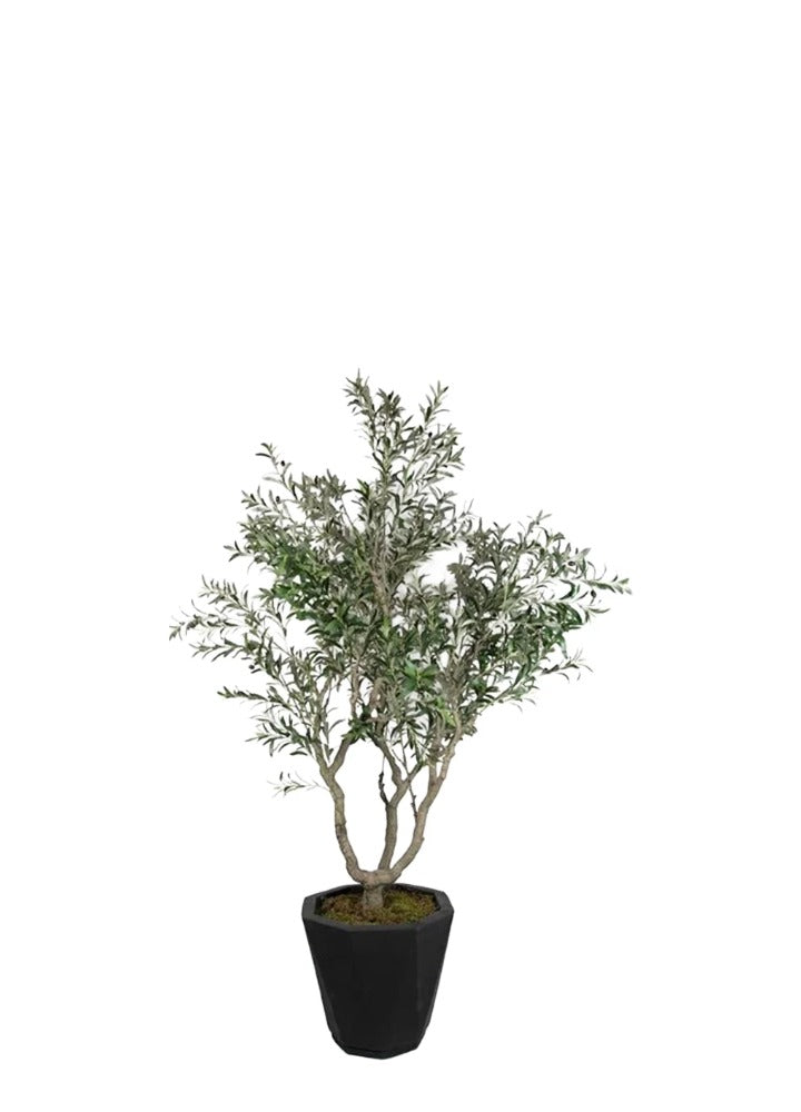 ZEYTİN AĞACI / 230CM