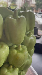 BELLPEPPER BİBER SERAMİK VAZO