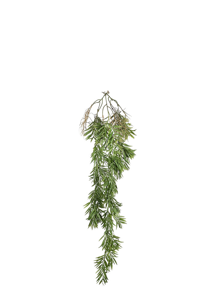 SARKAN BİTKİ / 110 CM