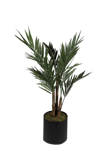 UV KENTIA SAKSILI / 213 CM